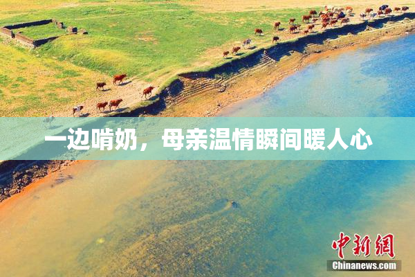 一边啃奶，母亲温情瞬间暖人心