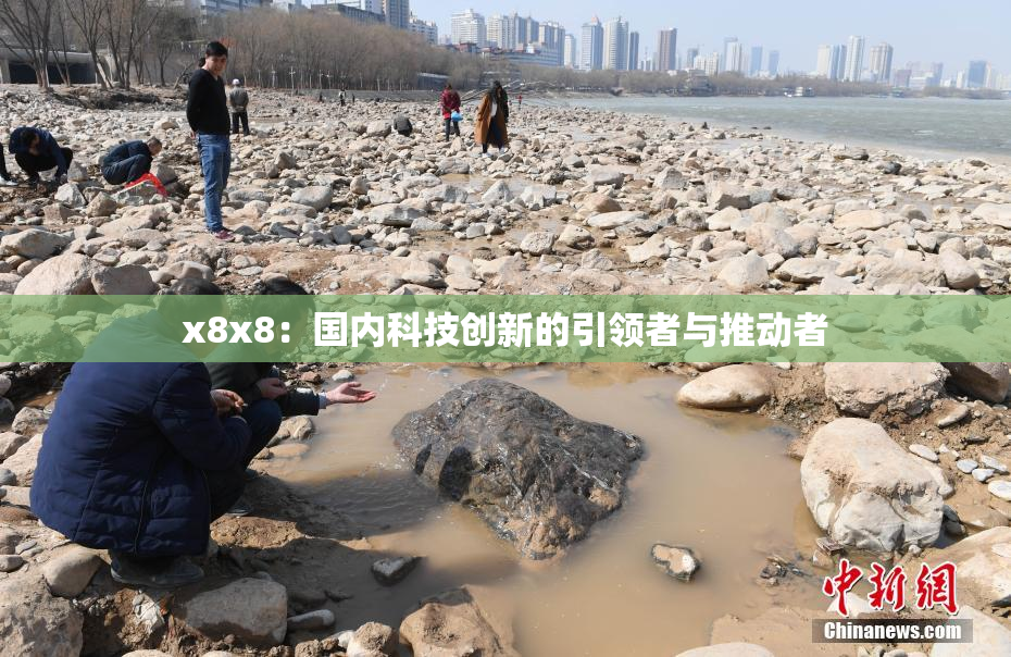 x8x8：国内科技创新的引领者与推动者