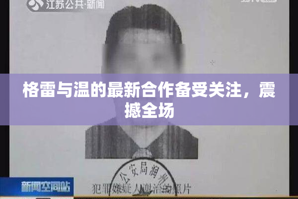 格雷与温的最新合作备受关注，震撼全场