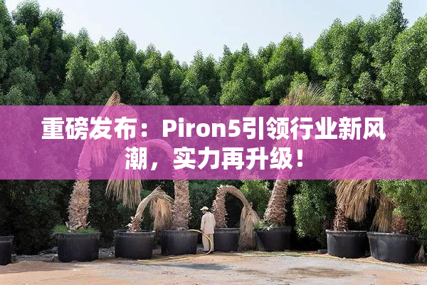 重磅发布：Piron5引领行业新风潮，实力再升级！