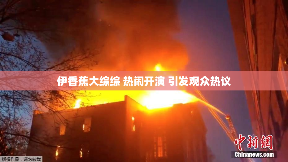 伊香蕉大综综 热闹开演 引发观众热议