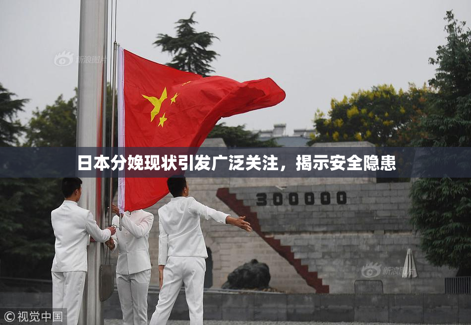 日本分娩现状引发广泛关注，揭示安全隐患