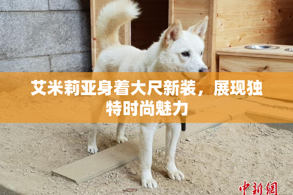 艾米莉亚身着大尺新装，展现独特时尚魅力