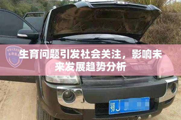 生育问题引发社会关注，影响未来发展趋势分析