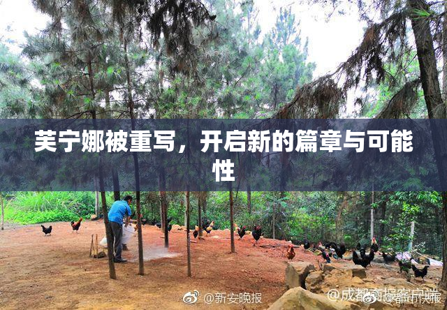 芙宁娜被重写，开启新的篇章与可能性