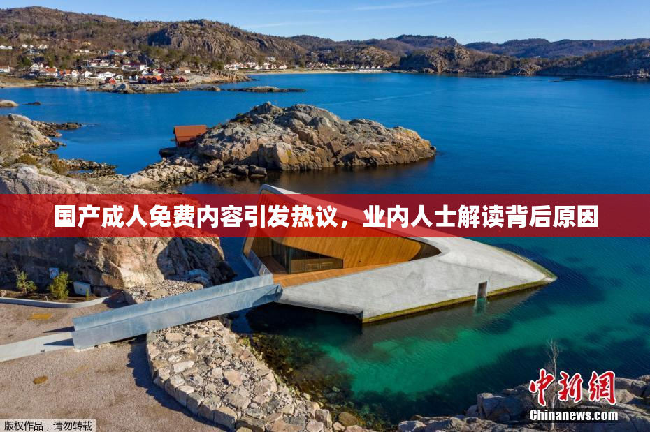 国产成人免费内容引发热议，业内人士解读背后原因