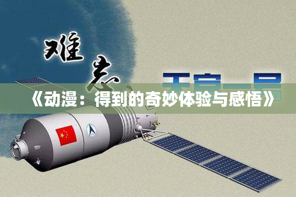 《动漫：得到的奇妙体验与感悟》