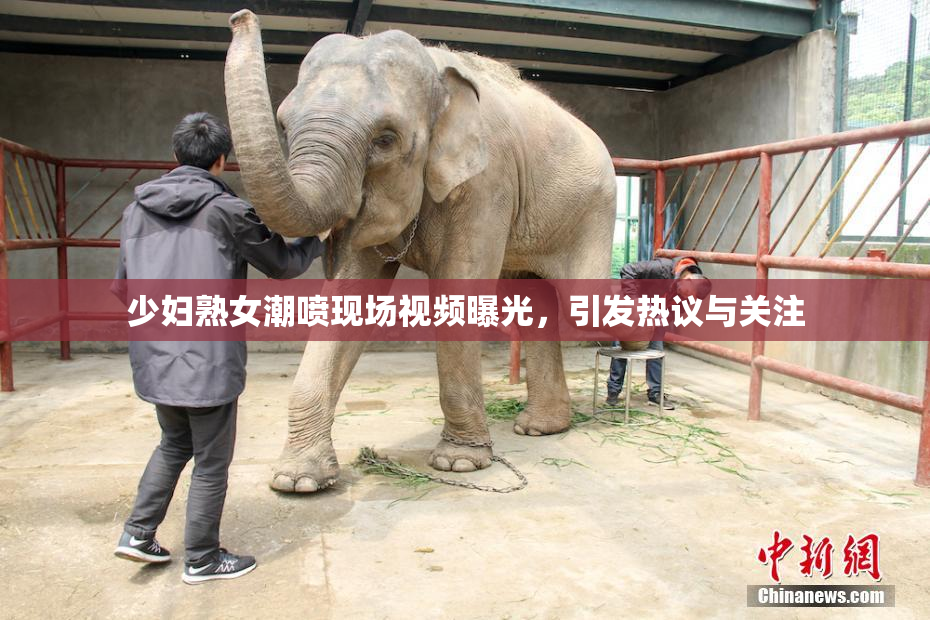 少妇熟女潮喷现场视频曝光，引发热议与关注