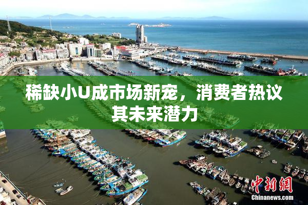 稀缺小U成市场新宠，消费者热议其未来潜力