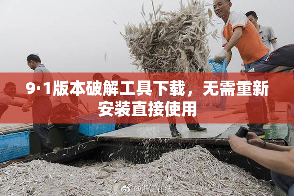 9·1版本破解工具下载，无需重新安装直接使用