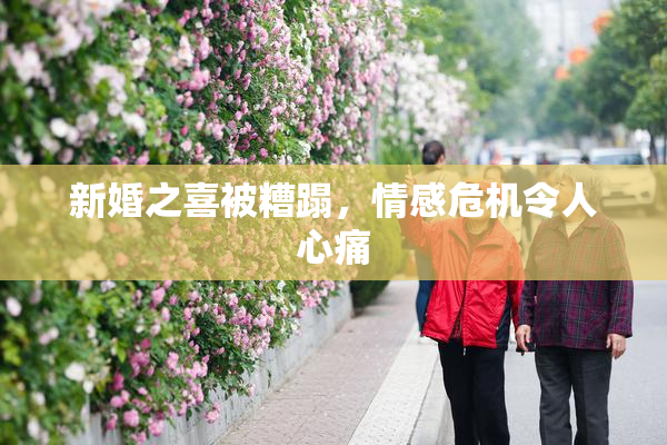 新婚之喜被糟蹋，情感危机令人心痛