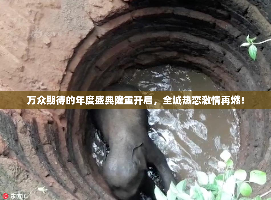 万众期待的年度盛典隆重开启，全城热恋激情再燃！