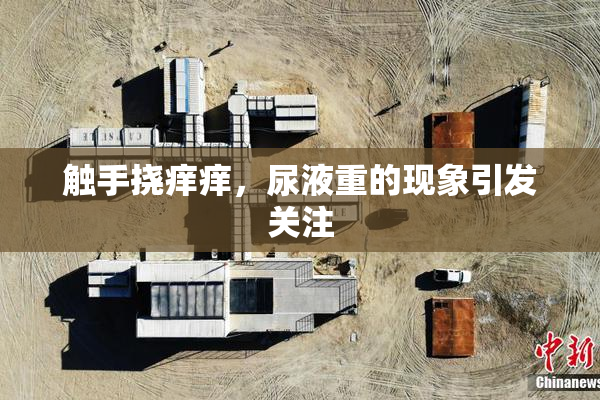 触手挠痒痒，尿液重的现象引发关注