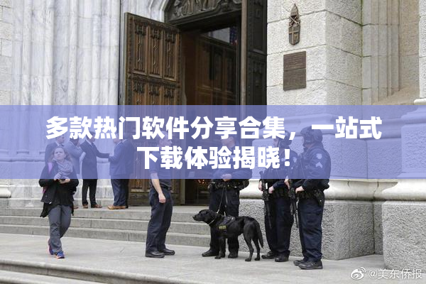 多款热门软件分享合集，一站式下载体验揭晓！