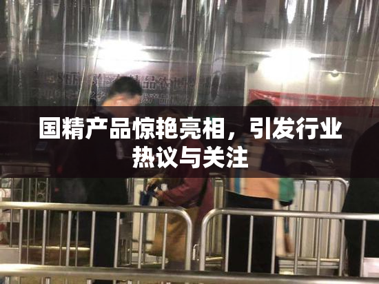 国精产品惊艳亮相，引发行业热议与关注