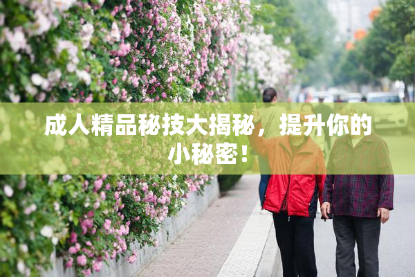 成人精品秘技大揭秘，提升你的小秘密！