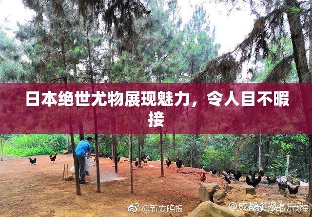 日本绝世尤物展现魅力，令人目不暇接