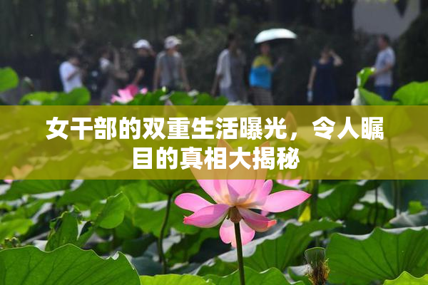 女干部的双重生活曝光，令人瞩目的真相大揭秘