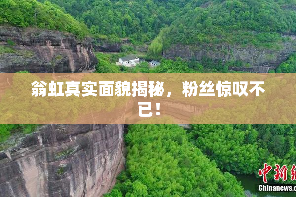 翁虹真实面貌揭秘，粉丝惊叹不已！