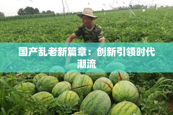 国产乱老新篇章：创新引领时代潮流