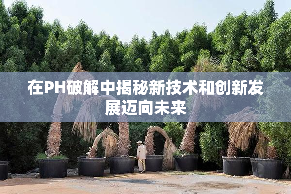 在PH破解中揭秘新技术和创新发展迈向未来