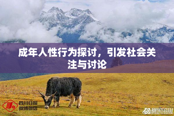 成年人性行为探讨，引发社会关注与讨论
