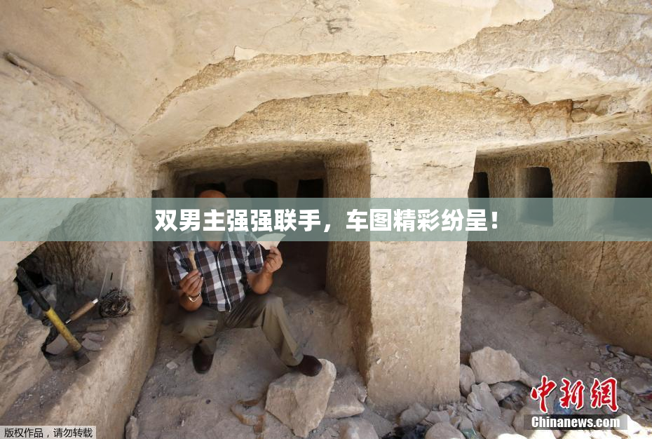 双男主强强联手，车图精彩纷呈！