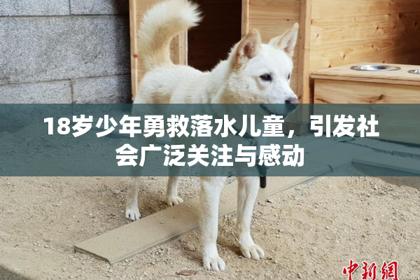 18岁少年勇救落水儿童，引发社会广泛关注与感动