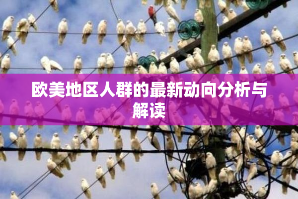 欧美地区人群的最新动向分析与解读