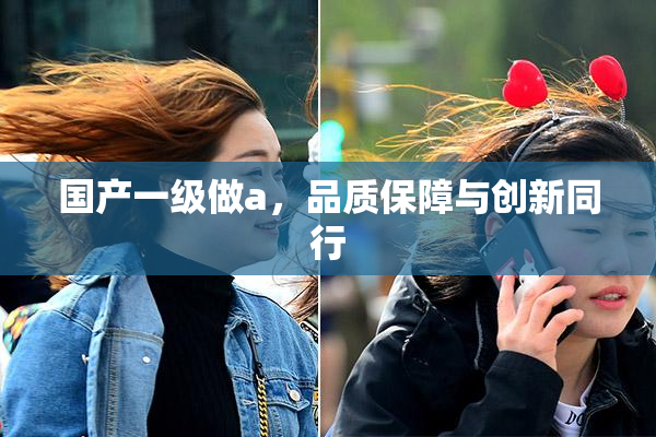 国产一级做a，品质保障与创新同行