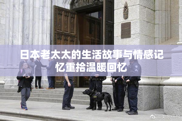 日本老太太的生活故事与情感记忆重拾温暖回忆