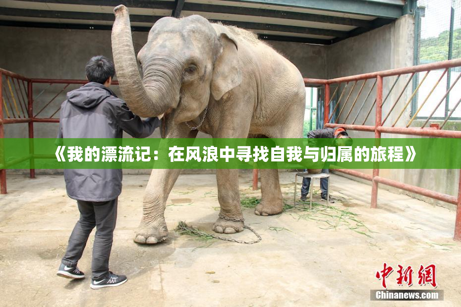 《我的漂流记：在风浪中寻找自我与归属的旅程》