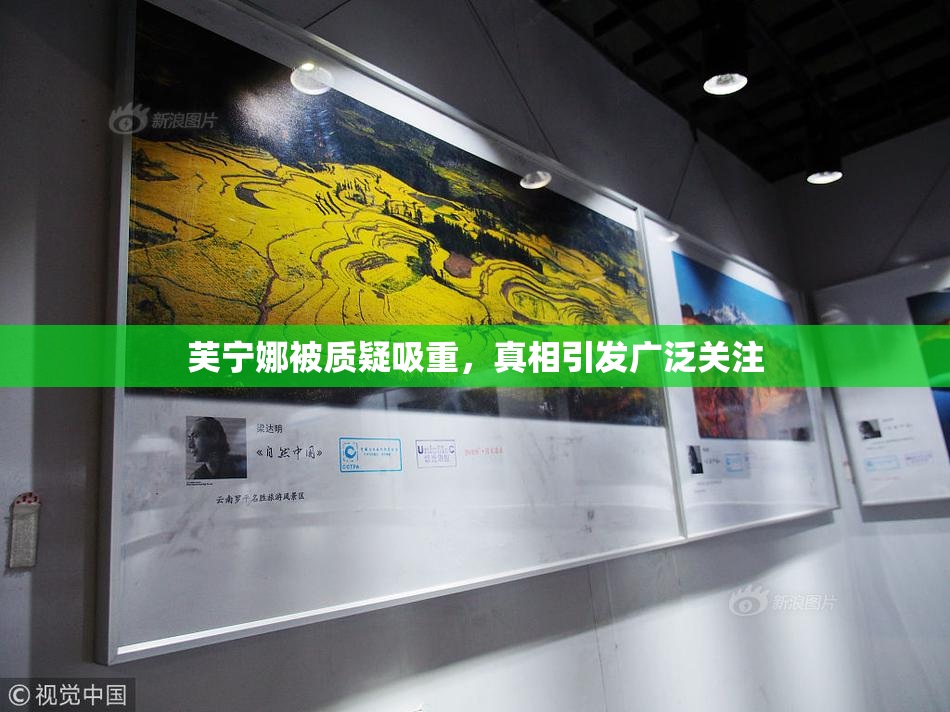 芙宁娜被质疑吸重，真相引发广泛关注