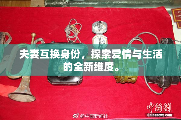 夫妻互换身份，探索爱情与生活的全新维度。