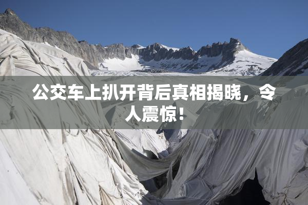 公交车上扒开背后真相揭晓，令人震惊！