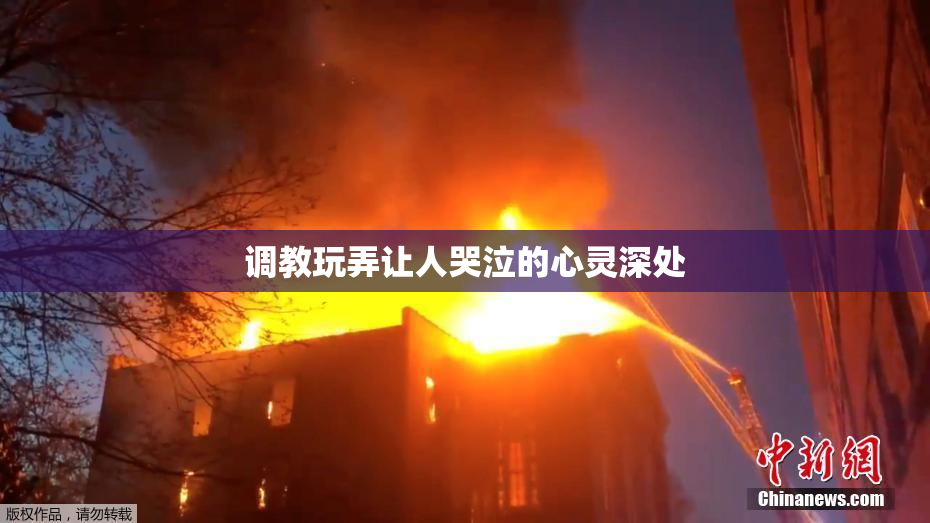调教玩弄让人哭泣的心灵深处