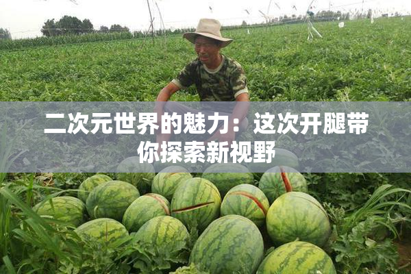 二次元世界的魅力：这次开腿带你探索新视野