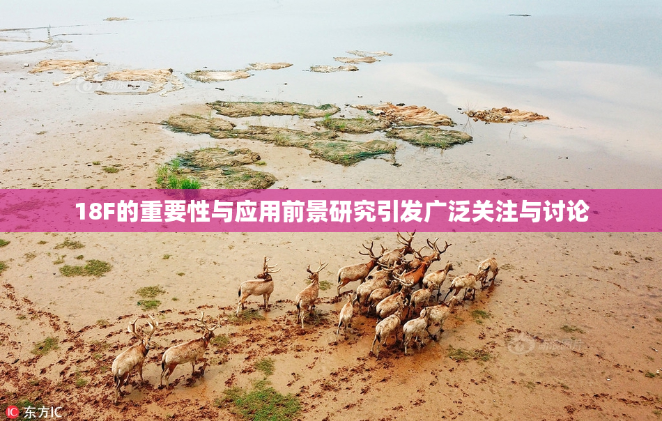 18F的重要性与应用前景研究引发广泛关注与讨论