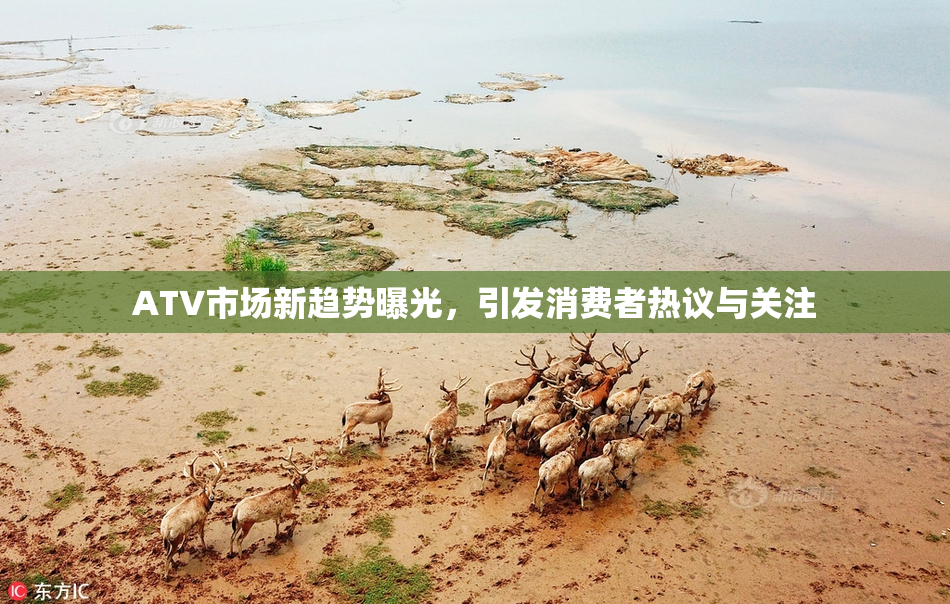 ATV市场新趋势曝光，引发消费者热议与关注