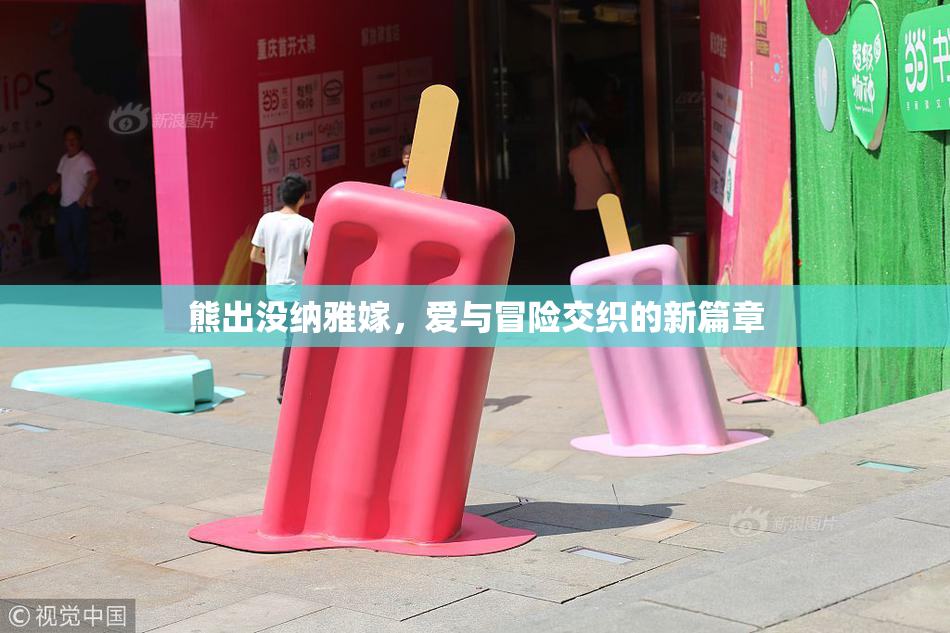 熊出没纳雅嫁，爱与冒险交织的新篇章