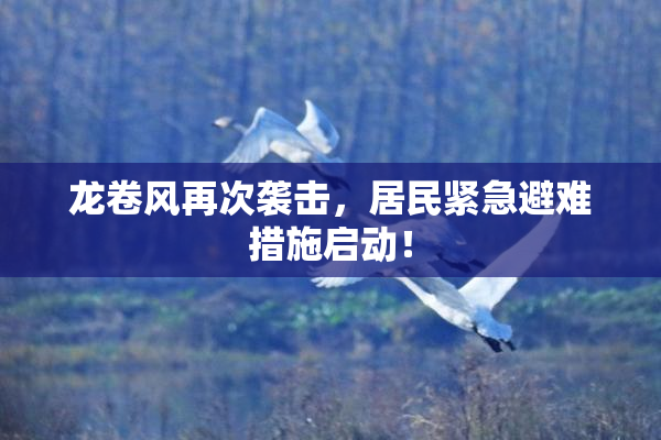 龙卷风再次袭击，居民紧急避难措施启动！