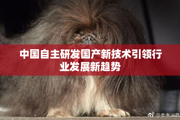 中国自主研发国产新技术引领行业发展新趋势