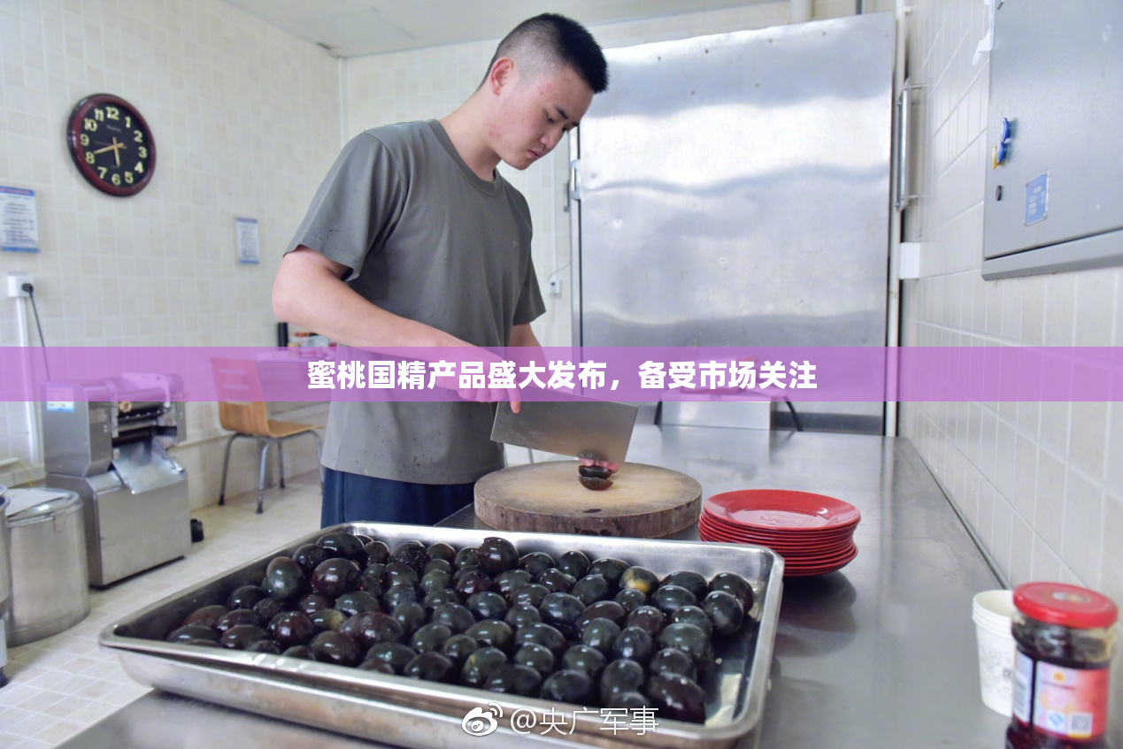 蜜桃国精产品盛大发布，备受市场关注