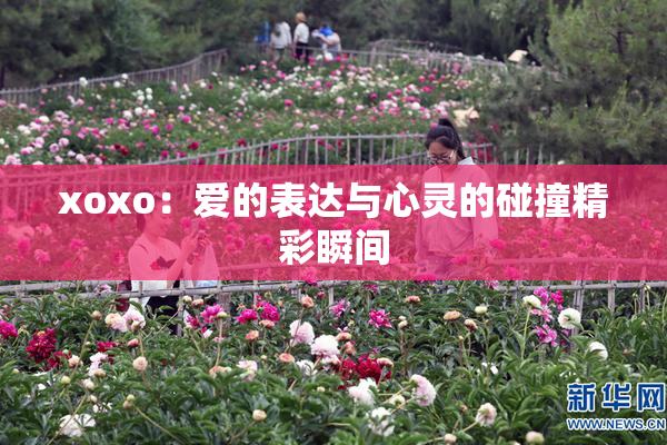 xoxo：爱的表达与心灵的碰撞精彩瞬间