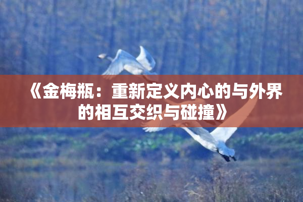 《金梅瓶：重新定义内心的与外界的相互交织与碰撞》