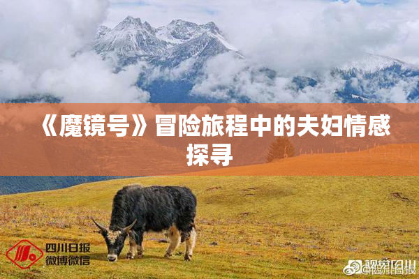 《魔镜号》冒险旅程中的夫妇情感探寻