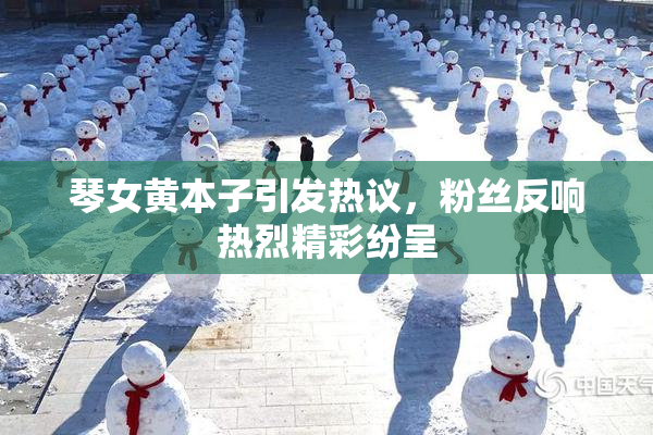 琴女黄本子引发热议，粉丝反响热烈精彩纷呈
