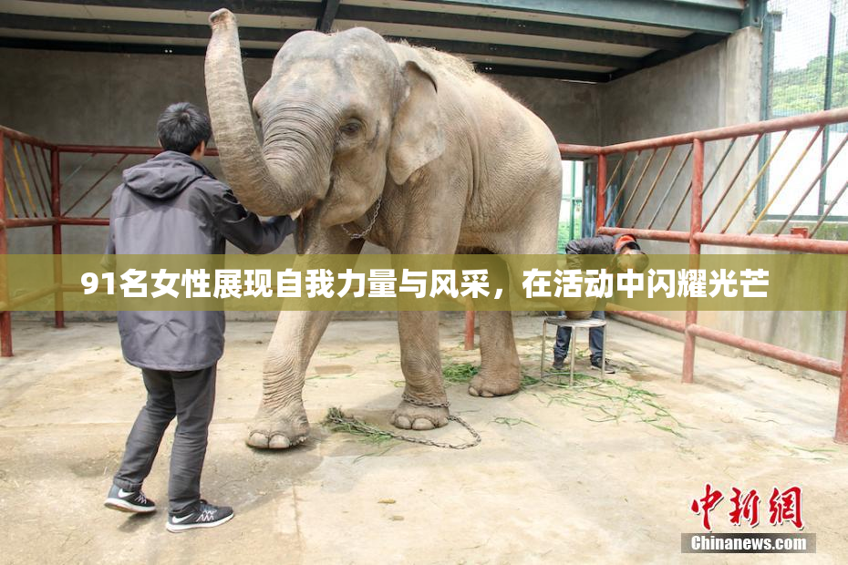 91名女性展现自我力量与风采，在活动中闪耀光芒