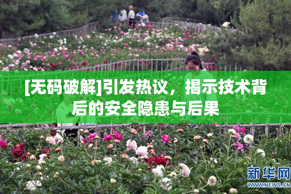 [无码破解]引发热议，揭示技术背后的安全隐患与后果