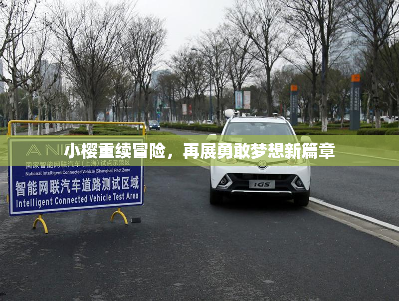 小樱重续冒险，再展勇敢梦想新篇章